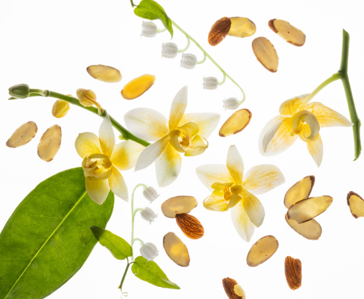 TOUCH LAND BODY & HAIR FRAGRANCE MIST_ Vanilla Velvet