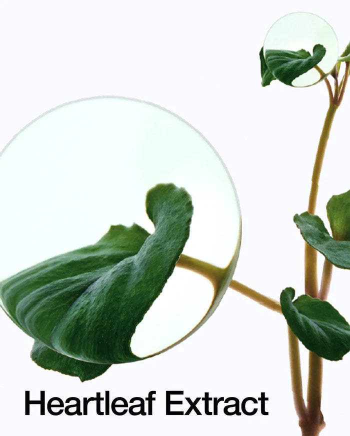 ANUA HEARLEAF PORE CONTROL CLEANSING OIL-20ml