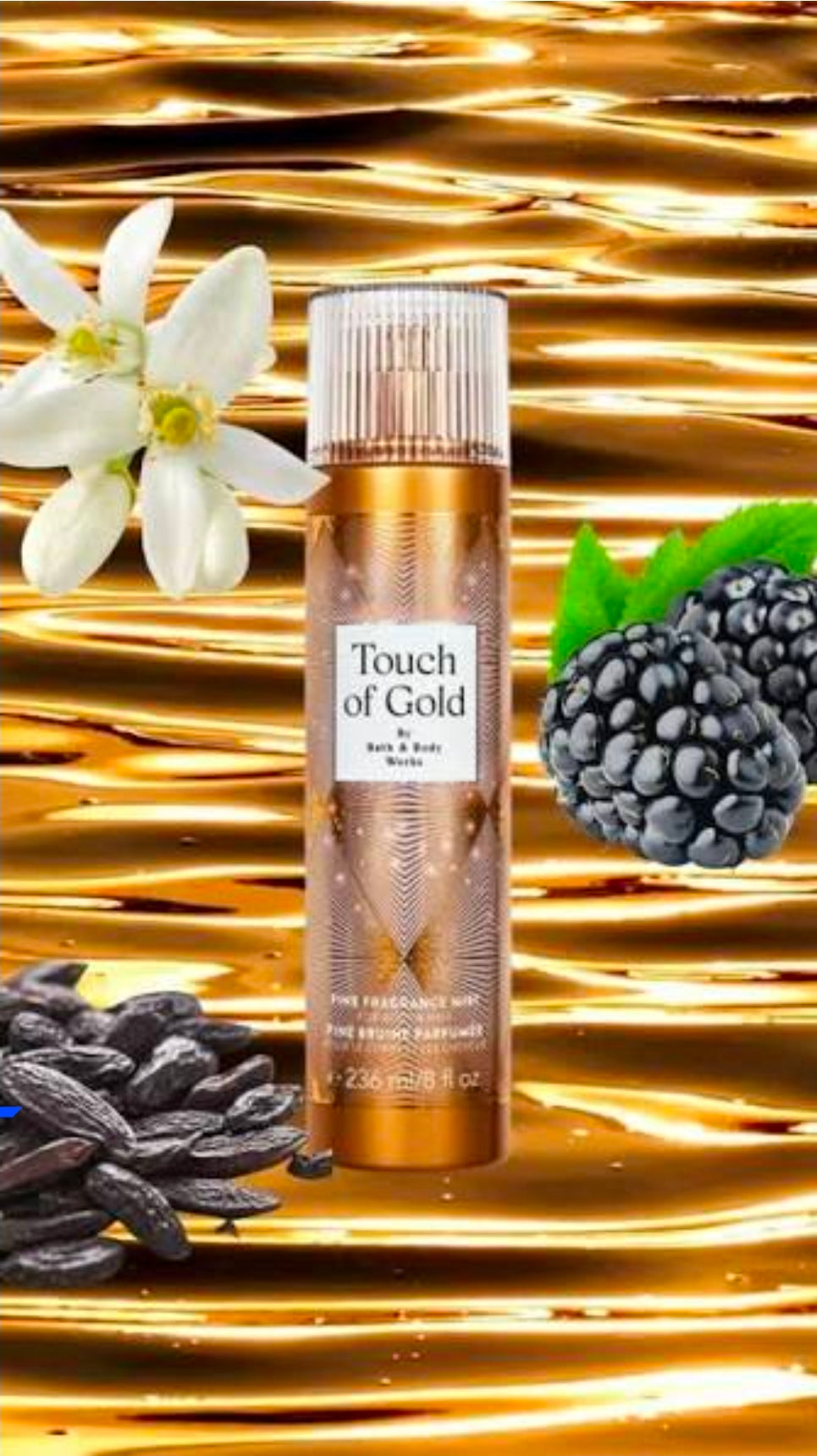 BATH& BODY WORKS TOUCH OF GOLD MIST -236mL