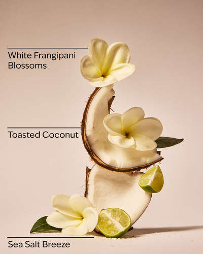 BATH & BODY WORKS At the Beach
Fine Fragrance Mist -236ml