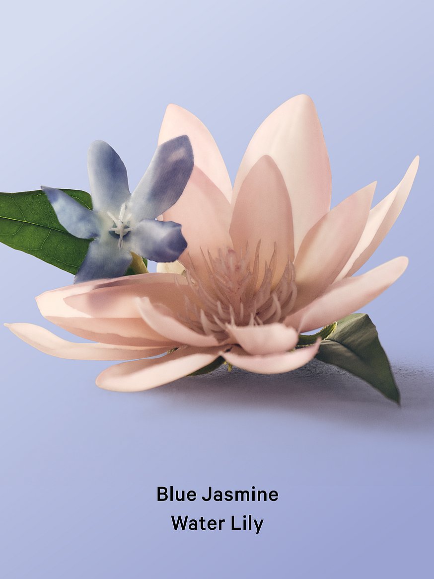 VICTORIA SECRET Blue Jasmine Water Lily Whipped Body Scrub-216g