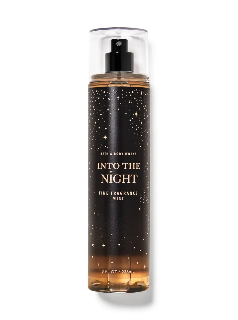 BATH AND BODY WORKS INTO THE NIGHT FINE FRAGRANCE MIST